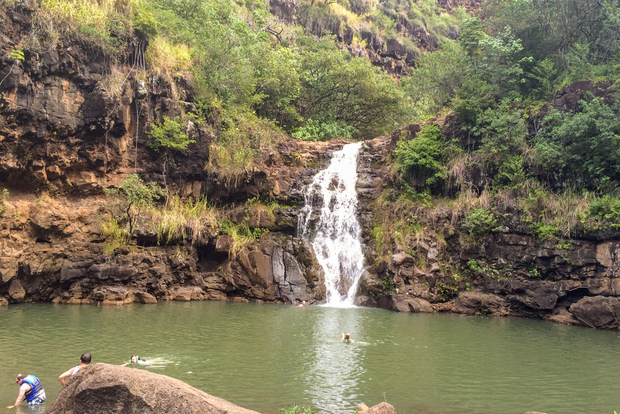 Honolulu: Tour guidato di un giorno intero dell'isola di Oahu in autobus con pranzo