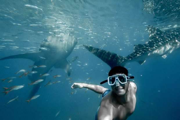 Cebu City: Walhaischwimmen und Kawasan Falls Canyoning