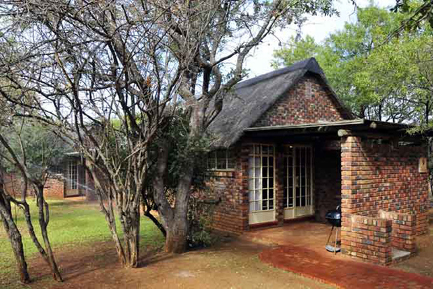 Pilanesberg: safari di 2 giorni a 3 stelle a Pilanesberg