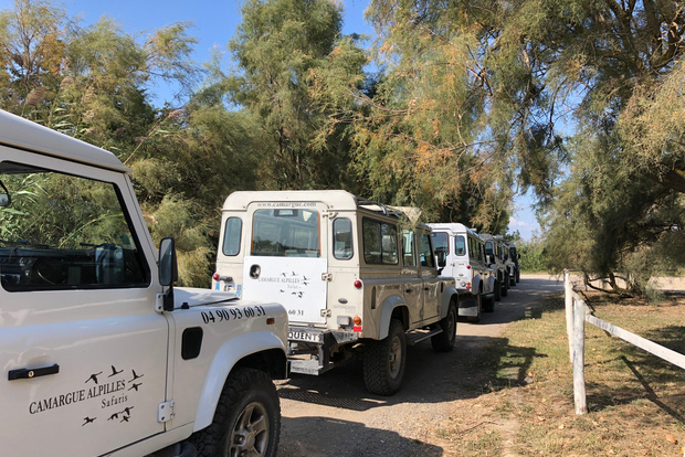 Da Arles: Safari di mezza giornata in 4x4 nella Camargue