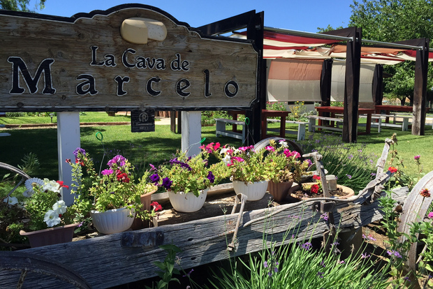 Desde Ensenada: tour de cata de queso y vino en Ojos Negros