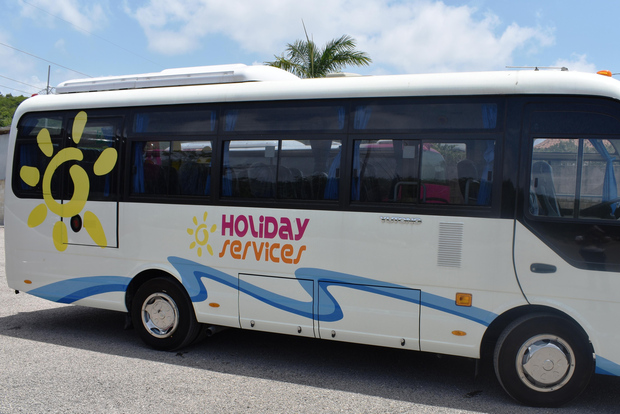 Montego Bay: MBJ Airport Shuttle Bus Transfer to Hotels