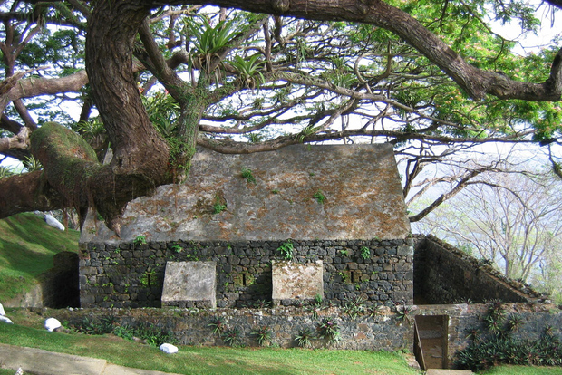 Tobago: Tour de medio día por lo más destacado