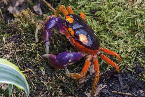 Livorno: Biglietto d'ingresso all'acquario