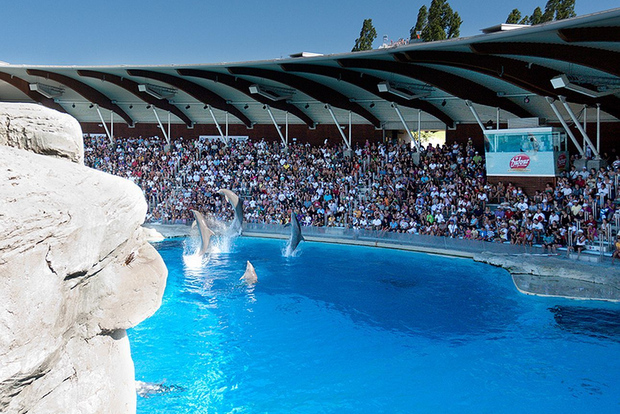 Riccione: Entrébiljett till Oltremare Park