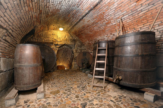 Pilsen: Ingresso al Museo della Birra con un bicchiere di birra