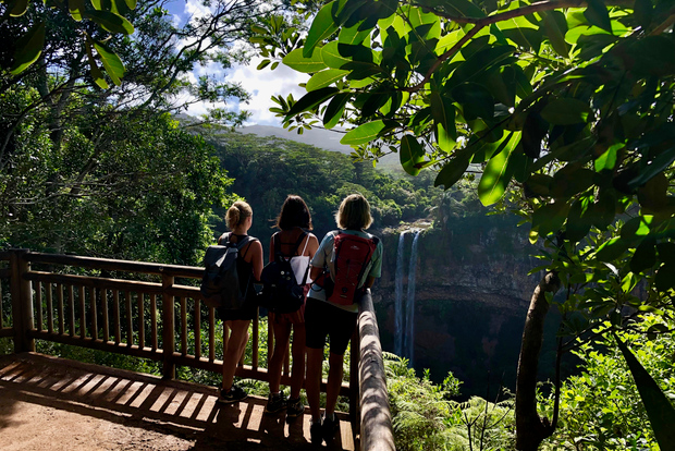 Desde Chamarel: Aventura Ecológica en Cascada