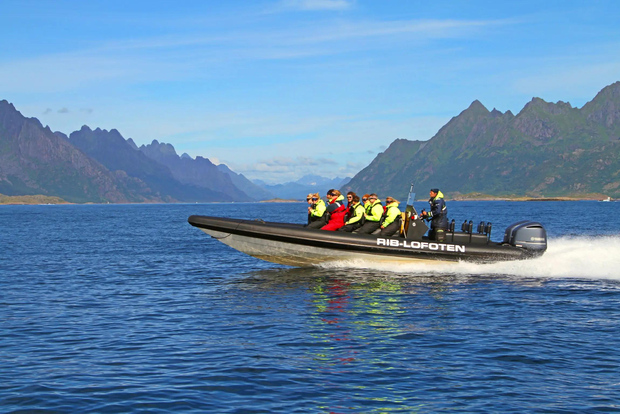 Da Svolvær: Lofoten RIB Sea Eagle Safari Trollfjord Cruise