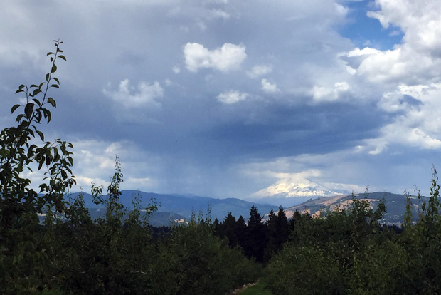 From Portland: Mt Hood, Hood River Valley and Columbia Gorge