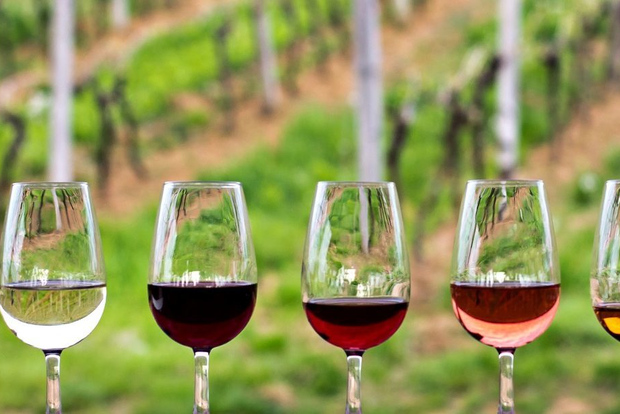 Valle de Guadalupe: Ruta Completa del Vino