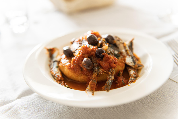 Savona : Dîner chez l'habitant