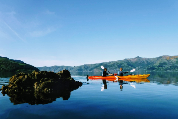 Akaroa: Akaroa Marine Reserve Sea Kayaking Tour