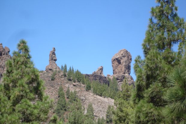 From Palmas: Pico de las Nieves & Roque Nublo Full-Day Trip