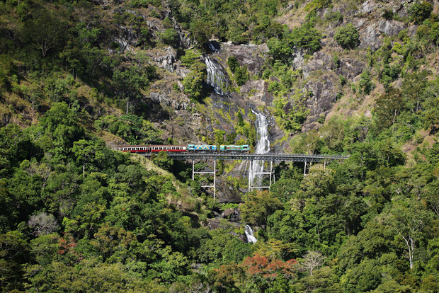 Von Cairns aus: Kuranda Tour mit Transfer