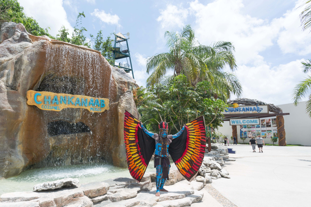 Cozumel: Parque Chankanaab y esnórquel con almuerzo