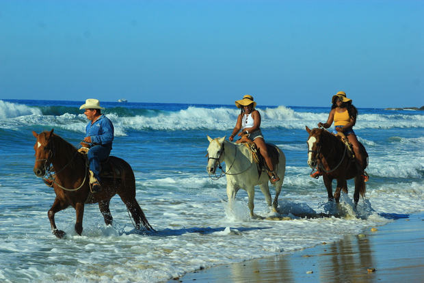 Punta de Mita/Sayulita: Horseback Riding Tour