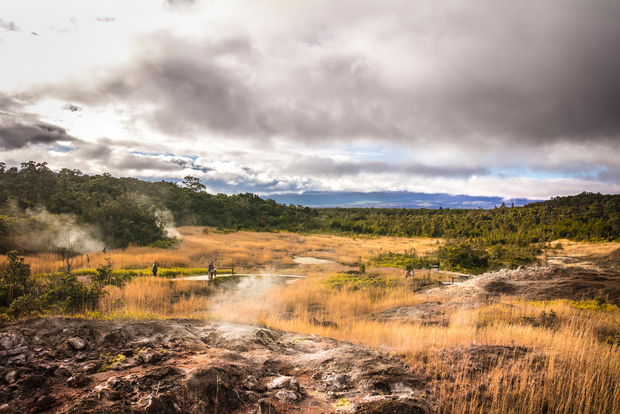 Excursion dans les parcs nationaux au départ de Waikoloa