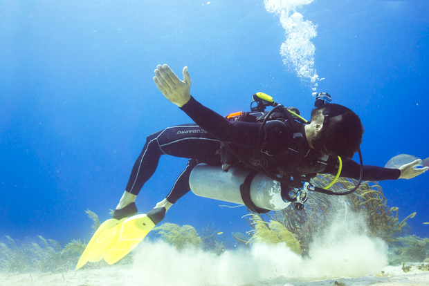 Cozumel: Buceo con un tanque y acceso completo al Parque Chankanaab
