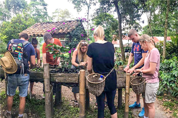 Tour della fattoria del caffè alla Finca El Ocaso dal Salento