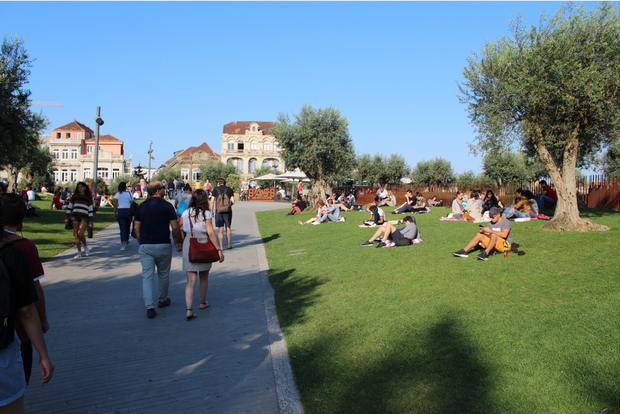 Porto Highlights (Tour privato a piedi)