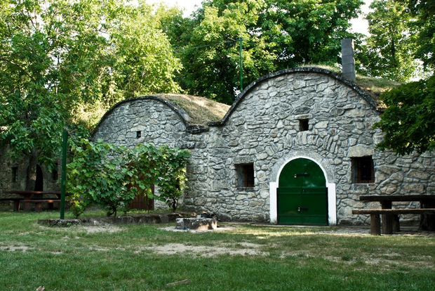 Von Budpaest aus: Páty Weindorf Tour mit Verkostungen