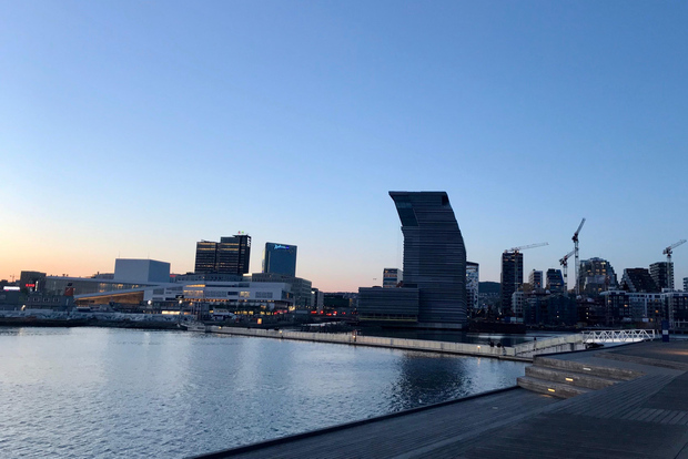 Oslo: Vista panoramica e passeggiata nel Parco delle Sculture