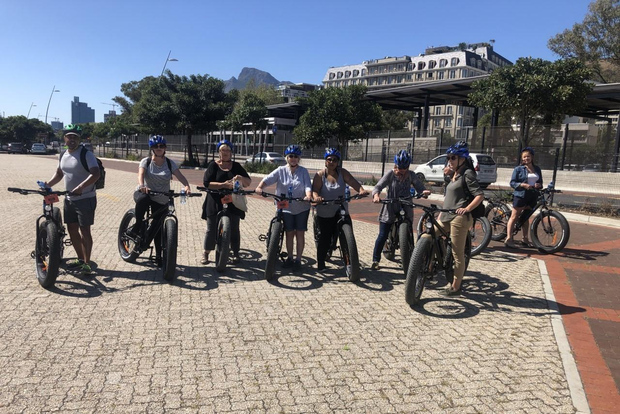 Cape Town: Half-Day e-Bike City Tour