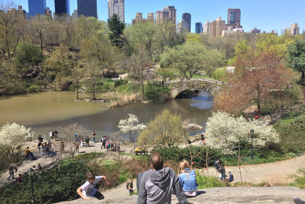 New York: tour a piedi delle attrazioni di Central Park