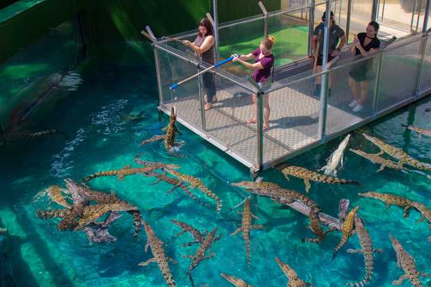 Biglietto d'ingresso generale per Crocosaurus Cove