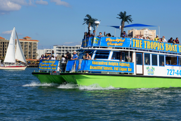 Tour de avistamiento de delfines en Clearwater