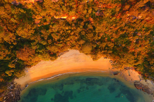 Sydney: picnic BYO in paradiso per 2