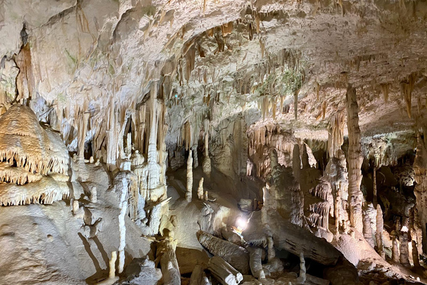 From Ljubljana: Postojna Cave Day Trip