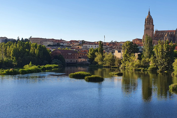Salamanca: Tour panoramico e culturale privato a piedi