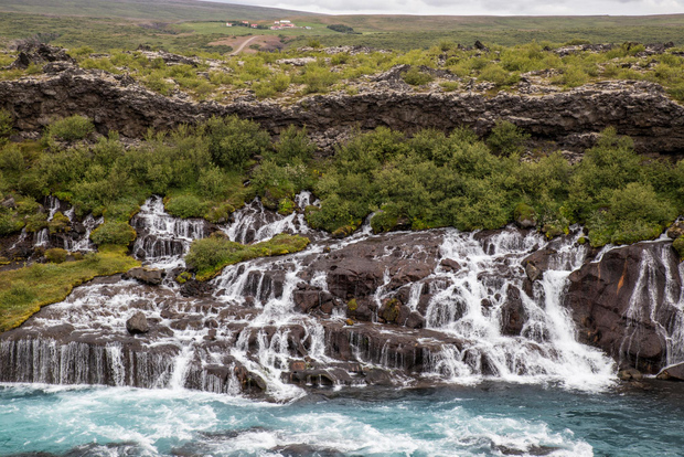 From Reykjavik: Borgarfjordur Private Day Trip