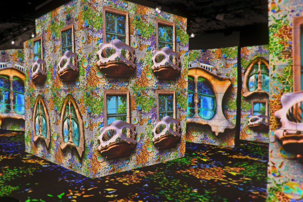 Da Avignone: tour di mezza giornata di Van Gogh e Carrières de Lumières