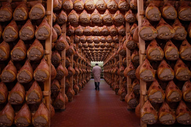 From Bologna or Modena: Parma Gastronomic Tour with Lunch