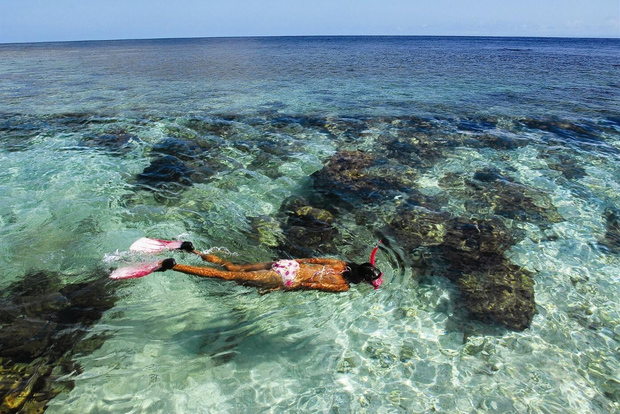 Roatán: Excursión de snorkel y al Santuario Daniel Johnson