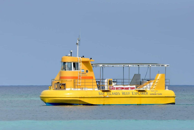 Roatán: Barco con fondo de cristal, santuario de perezosos y excursión al chocolate