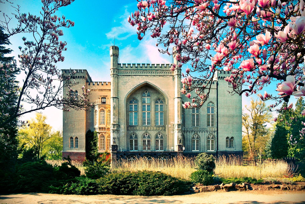 Castello di Kornik e Palazzo Rogalin Tour privato di mezza giornata