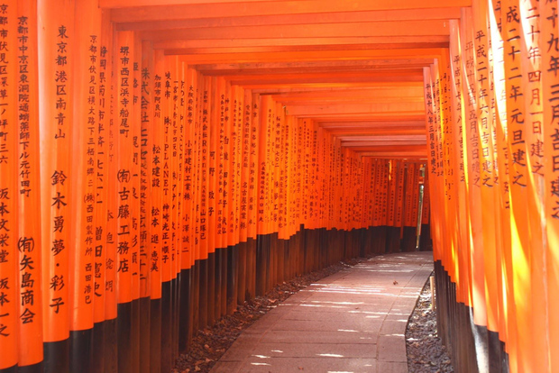 Kyoto: Arashiyama e Fushimi Inari con auto privata