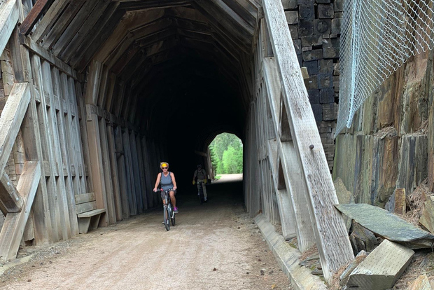 Mickelson Trail: 20-Mile Private Bicycle Tour