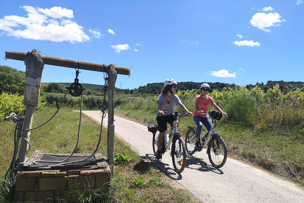 巴塞罗那:自行车与葡萄酒导览游 - 佩内德斯葡萄园