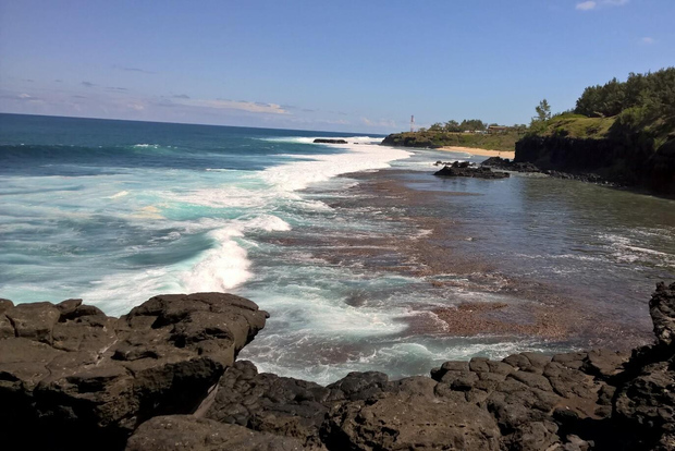 Mauricio: Excursión Privada por el Sur y Aventura con Delfines