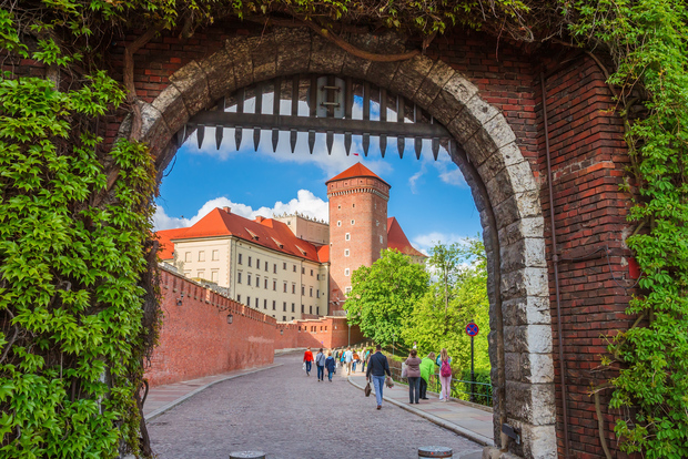 Cracovia: tour privato a piedi del castello di Wawel