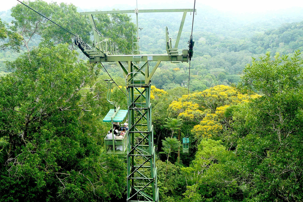 Von Panama City aus: Geführte Tour durch den Regenwald von Gamboa mit Mittagessen