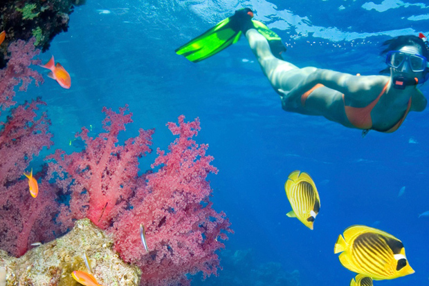 Da Punta Cana: nuotata, vela e snorkeling sull'isola di Catalina