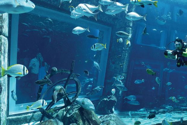Dubai: Experiencia de Buceo en el Acuario de las Cámaras Perdidas de Atlantis