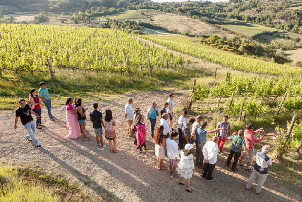 Montepulciano: Vino Nobile Wine Tour — Meet the Producers