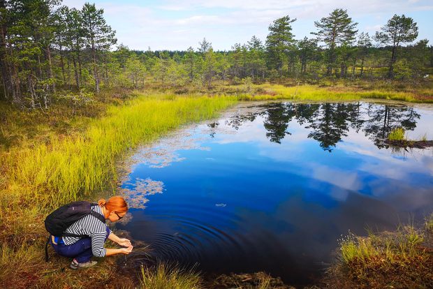 From Tallinn: Day Trip to Lahemaa National Park