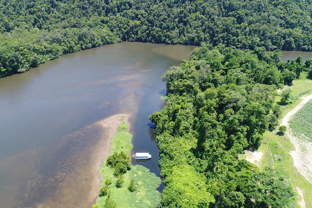 Cairns: crociera nella foresta pluviale di Daintree